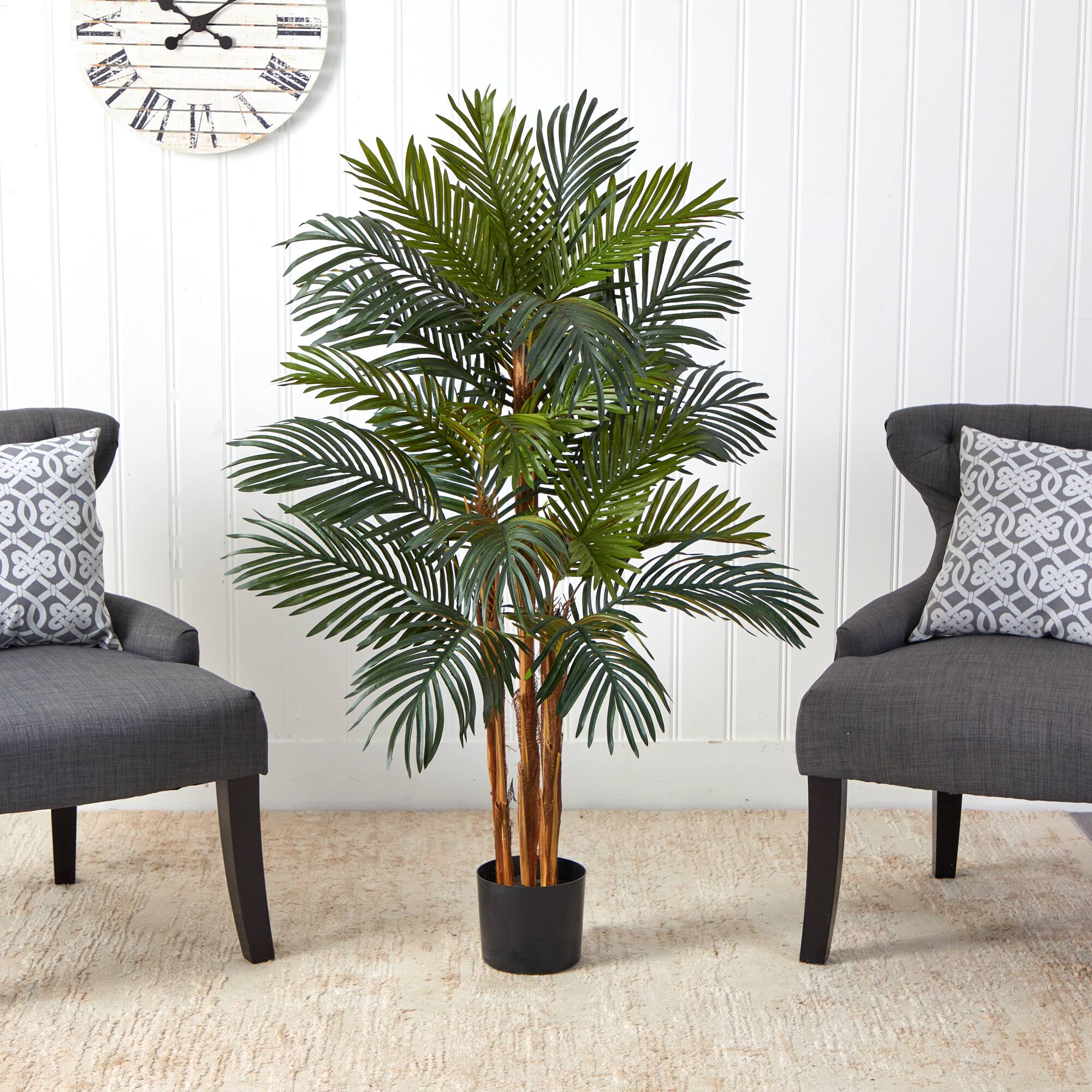 4ft. Potted Date Palm Tree